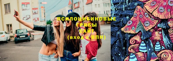 2c-b Алексеевка