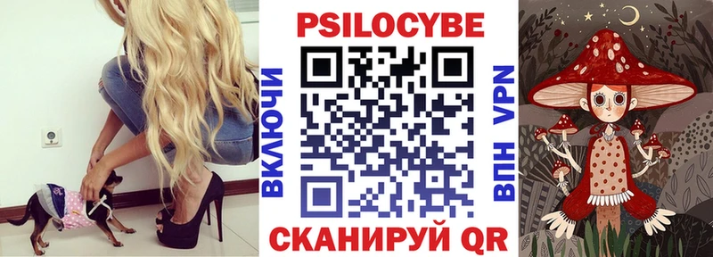 blacksprut ссылки  наркошоп  Николаевск  Псилоцибиновые грибы прущие грибы 